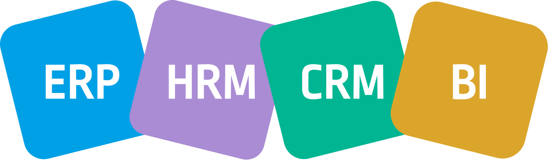 CRM valdkonna konsultant