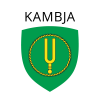 Kambja Vallavalitsus