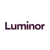 Senior IT Supplier Manager