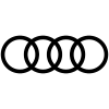 VEEBITURUNDUSE SPETSIALIST (Audi)