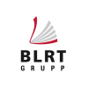 ERP project manager
