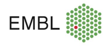 European Molecular Biology Laboratory (EMBL)